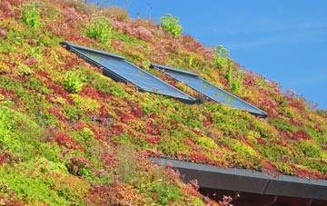 Fenhouses living roof systems